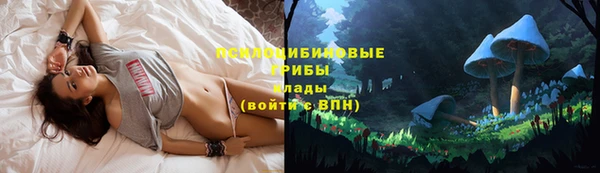 стафф Верхний Тагил